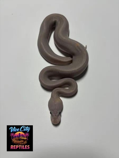 Banana 8Ball