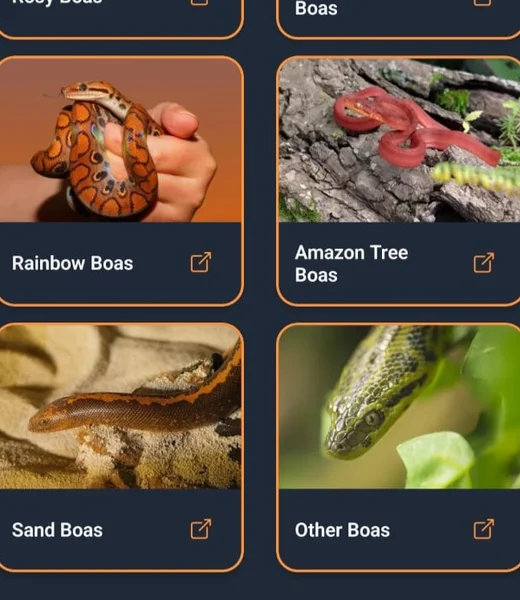 Sample Ads
