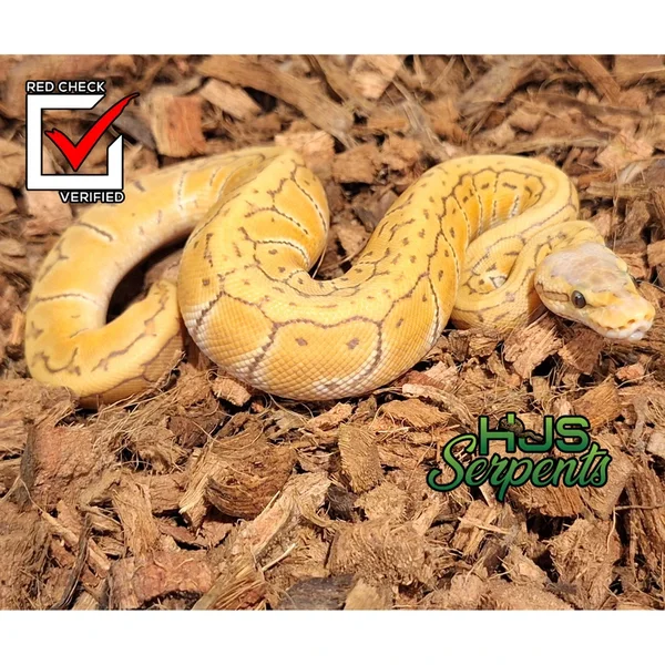 Lemonblast ultra het clown