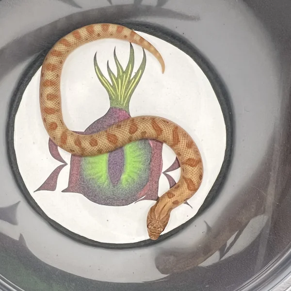 Anaconda Mai Tai RBE Pastel 