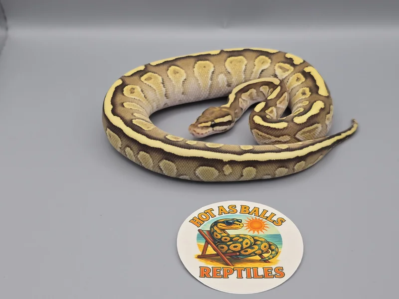 Fire Lesser het Clown