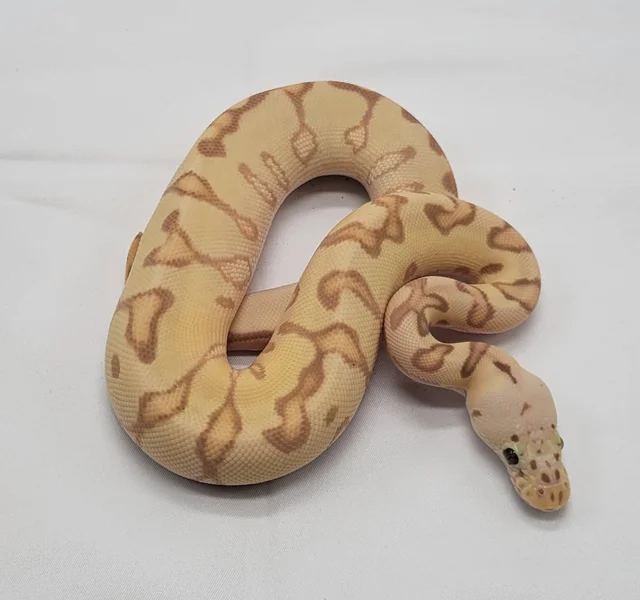 Fun banana baby!!