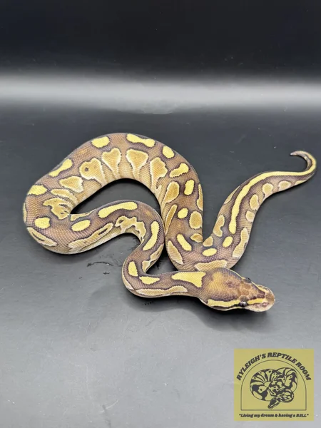 Lesser