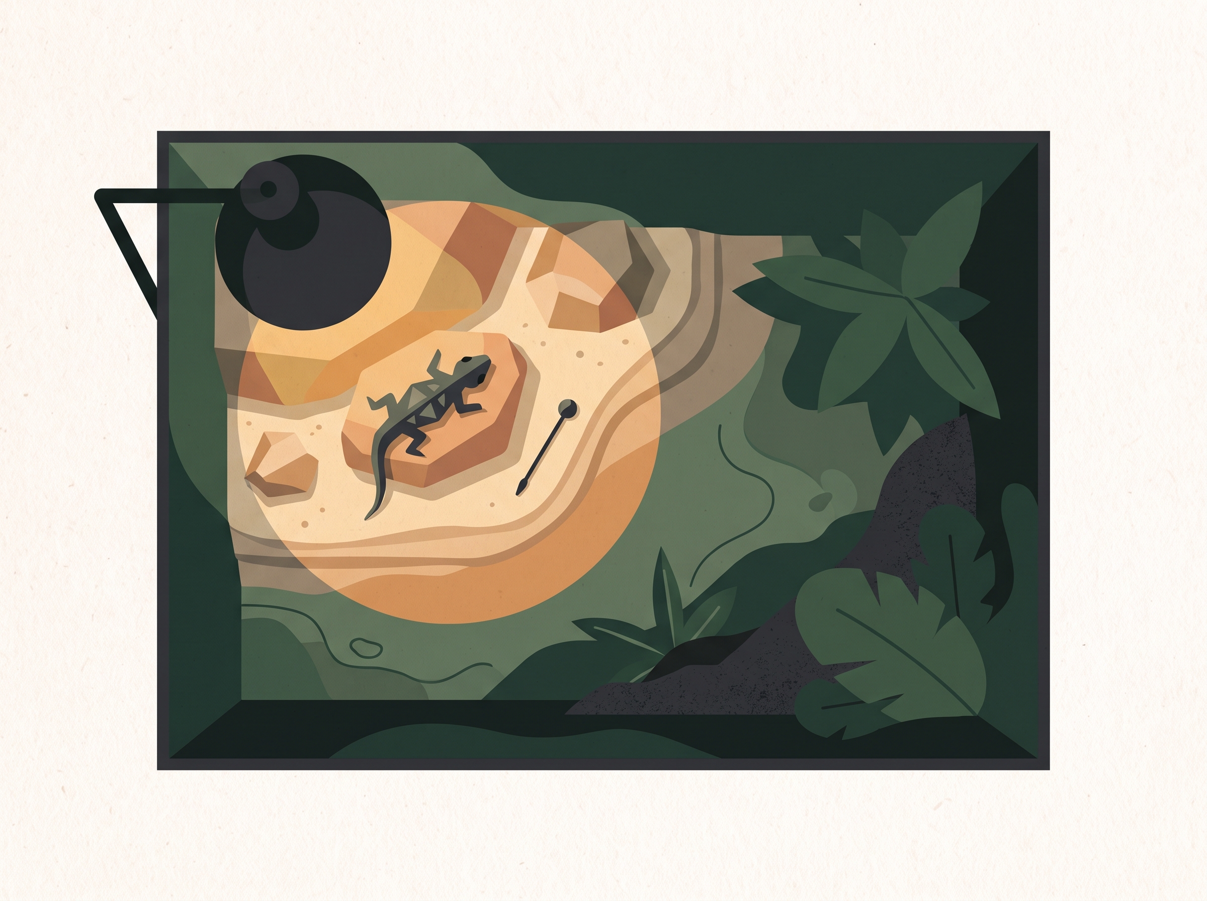A terrarium interior showing a basking light positioned over one warm end.