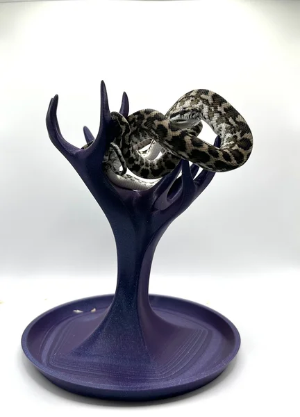 Axanthic het Granite