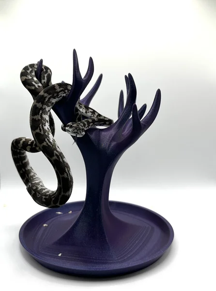 Axanthic het Granite