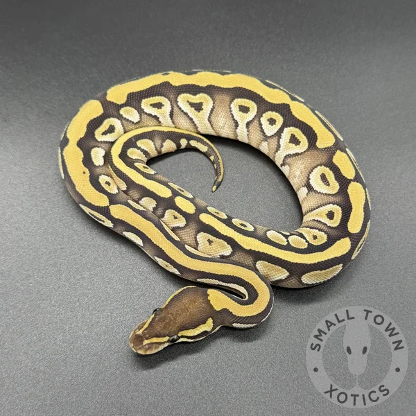 Mojave Het DG